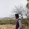 iamrohit